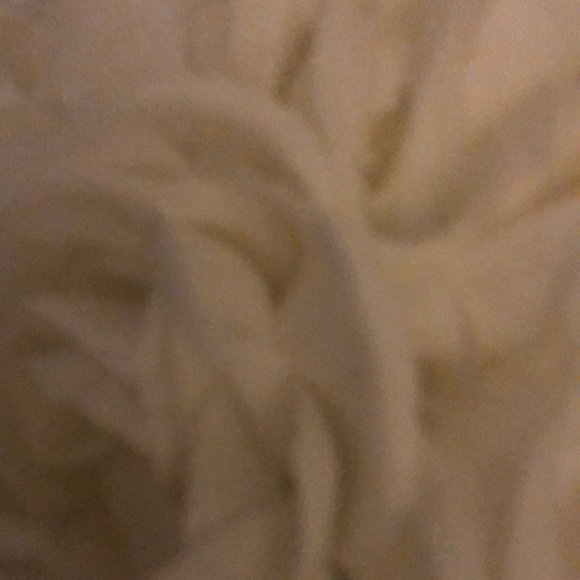 Meet your Posher, Gianni - Picture 1 of 1